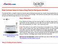 Most Common Ways to Pass a Drug Test for Marijuana Smokers
